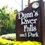 1 dunns river falls and fern gully highlight tour Dunn's River Falls and Fern Gully Highlight Tour