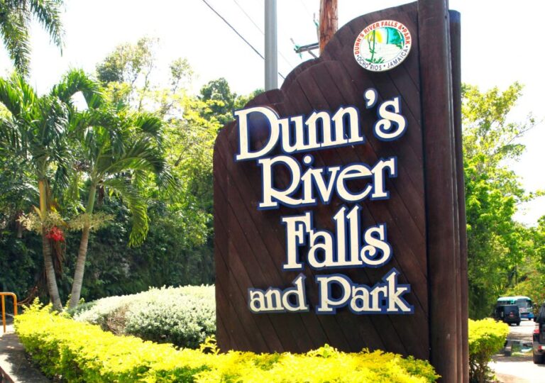 Dunn’s River Falls and Fern Gully Highlight Tour