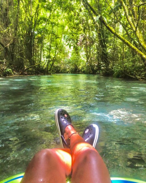 Dunn’s River Falls and River Tubing Private Tour