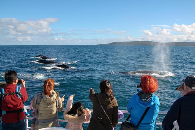 Dunsborough Whale Watching Eco Tour