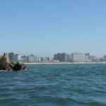 1 durban 1 hour boat cruise from wilsons wharf Durban: 1-Hour Boat Cruise From Wilson's Wharf