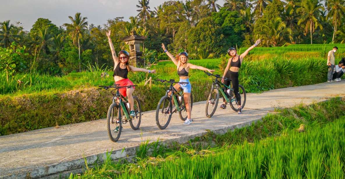 1 e bike ubud rice terraces traditional villages cycling E-Bike: Ubud Rice Terraces & Traditional Villages Cycling