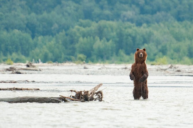 Eagle Preserve Float Trip in Haines