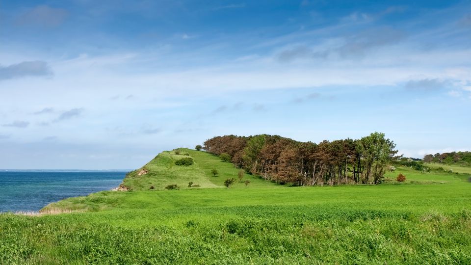 1 easter island discovering the north coast of rapa nui Easter Island: Discovering the North Coast of Rapa Nui