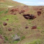 1 easter island half day archaeology tour Easter Island: Half-Day Archaeology Tour