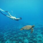 1 easter island snorqueling tour on coral reefs Easter Island: Snorqueling Tour on Coral Reefs
