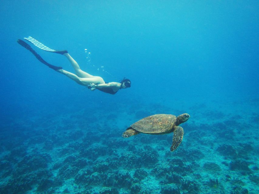 1 easter island snorqueling tour on coral reefs Easter Island: Snorqueling Tour on Coral Reefs