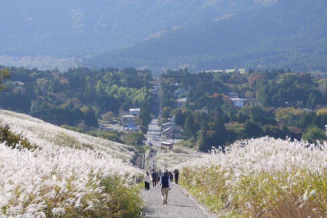Easygoing Nature Walk in Hakone Tour