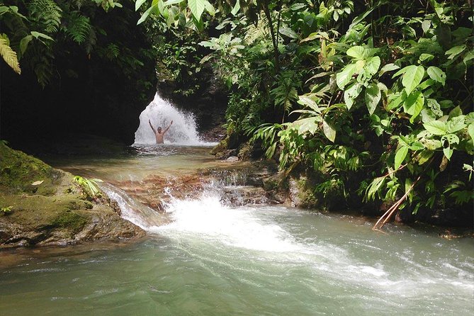 Ebano Waterfalls and Rainforest Safari Tour