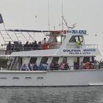 eco-and-dolphin-watch-tour-of-south-padre-island-tour-inclusions