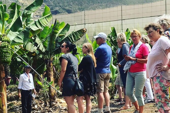 1 ecological banana plantation tour Ecological Banana Plantation Tour