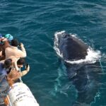 1 educational whale watching tour from augusta or perth Educational Whale Watching Tour From Augusta or Perth