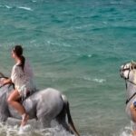 1 el gouna desert sea horse riding with swimming optional 2 El Gouna: Desert & Sea Horse Riding With Swimming Optional