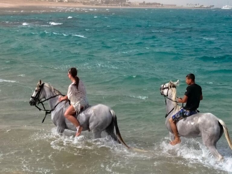 El Gouna: Desert & Sea Horse Riding With Swimming Optional