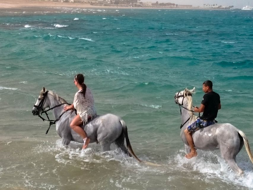 1 el gouna desert sea horse riding with swimming optional 3 El Gouna: Desert & Sea Horse Riding With Swimming Optional
