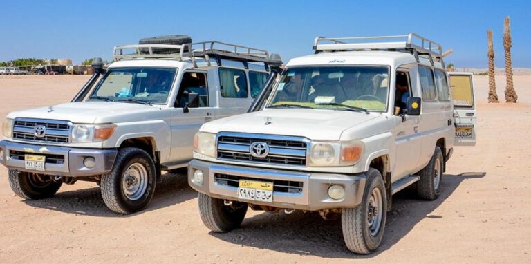 El Gouna: Jeep, Camel, Buggy, Safari to Sahara Park Hurghada