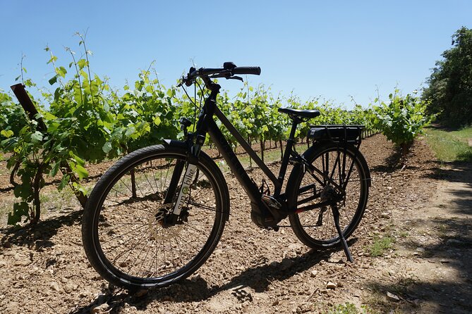 Electric Bike Rental From Vaison La Romaine