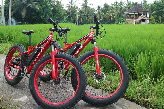 1 electric bike tour in ubud Electric Bike Tour in Ubud