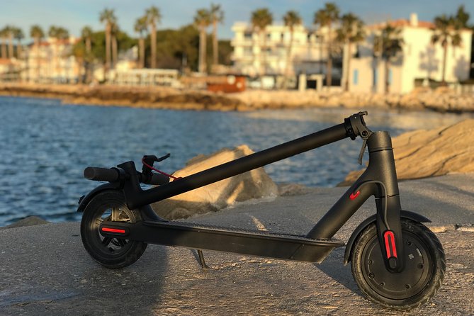 Electric Scooter Rental