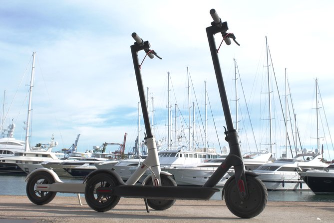 Electric Scooter Rental