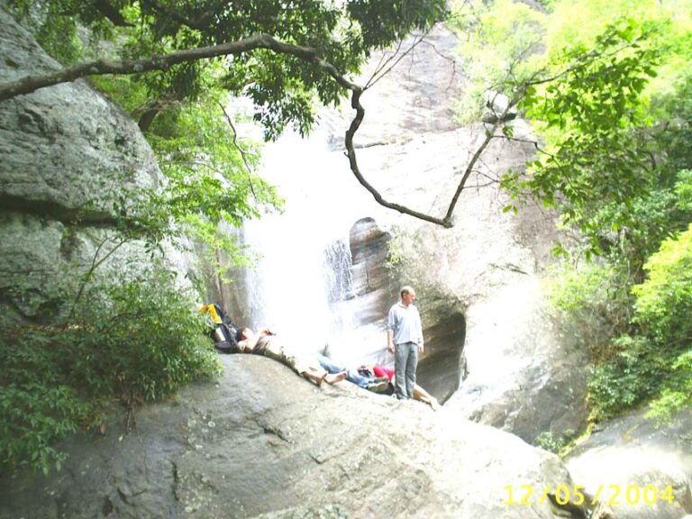 Ella-Trekking Through Forest Tea Plantation & Waterfalls