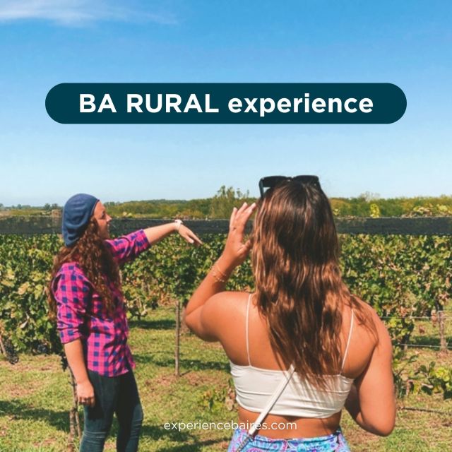 Enjoy a Rural Experience in a Vineyard Near Buenos Aires