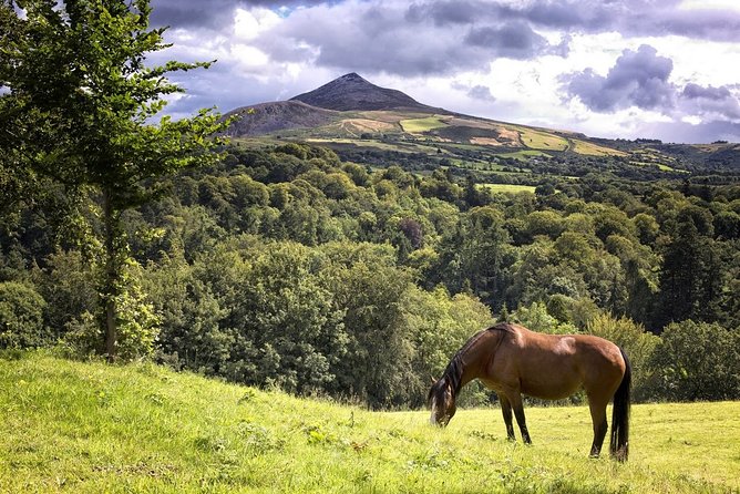 Enjoy the Beauty of the Irish Countryside Wicklow Private Tour - Booking Information