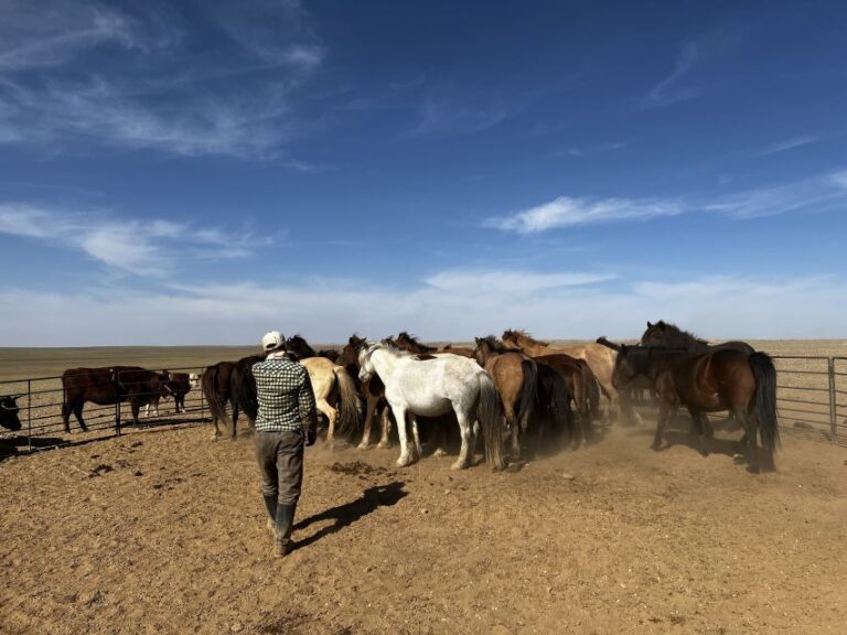 Epic Mongolian Gobi Nature Tour: 4 Nights 5 Days