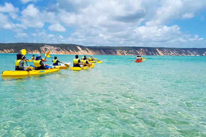 Epic Rainbow Beach Dolphin Kayak and 4WD Adventure Tour