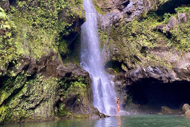 Epic Waterfall Adventure – Best of Maui
