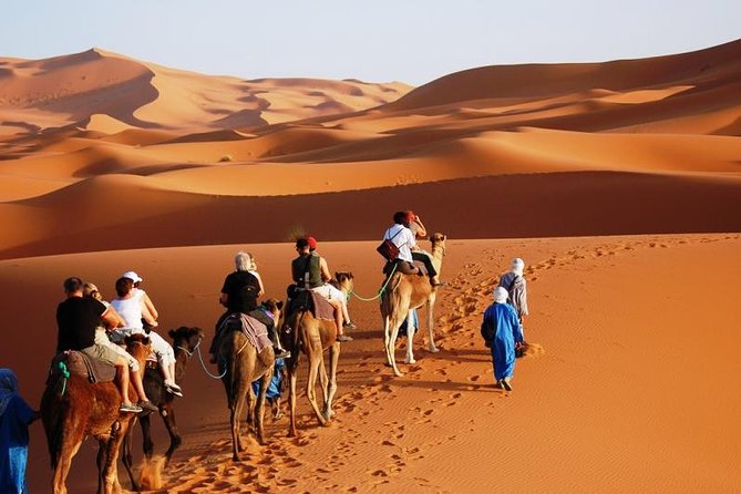 Erg Chebbi Dunes Overnight With Berber Tent, Camel Ride, Meals (Mar )