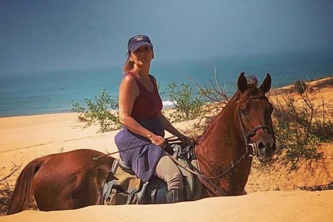 1 essaouira dromedary camel or horse ride Essaouira Dromedary Camel or Horse Ride
