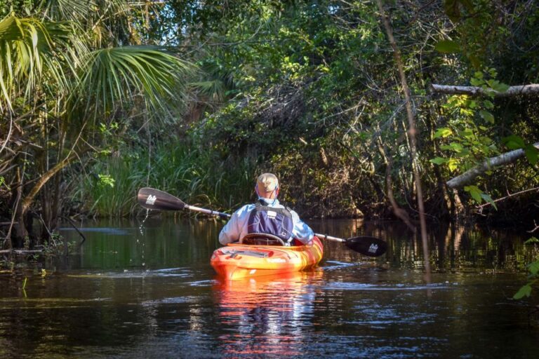 Everglades: Guided Kayak and Airboat Tour