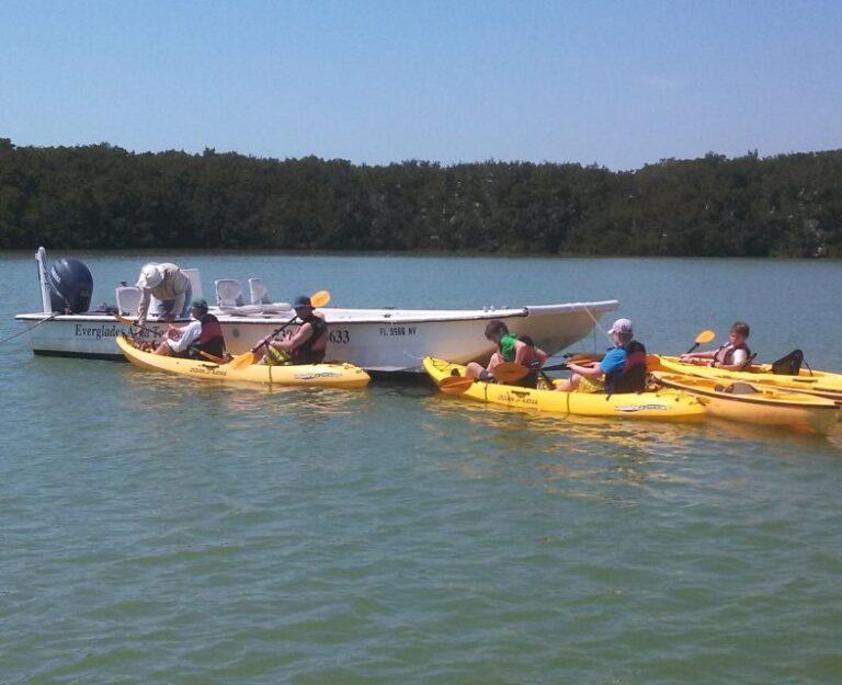 Everglades National Park: Boat Assisted Kayak Eco Tour