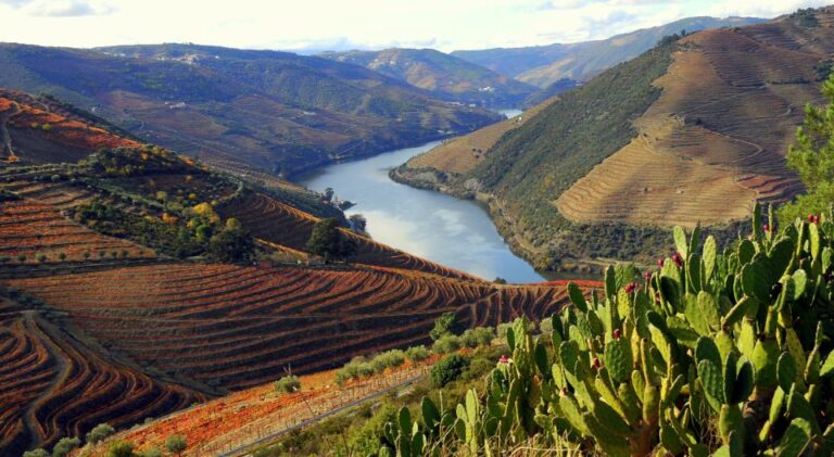 Exclusive Douro Valley Full–Day Tour From Porto