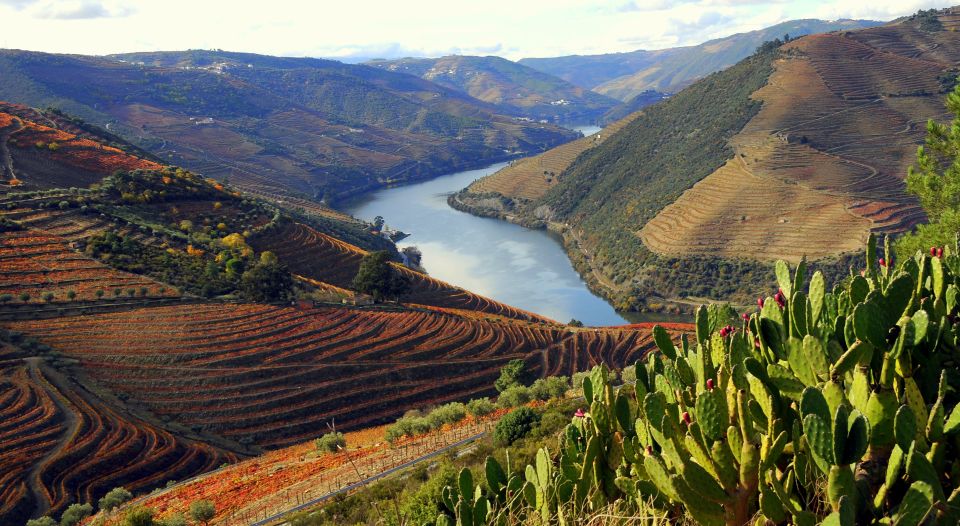 1 exclusive douro valley full day tour from porto Exclusive Douro Valley Full–Day Tour From Porto