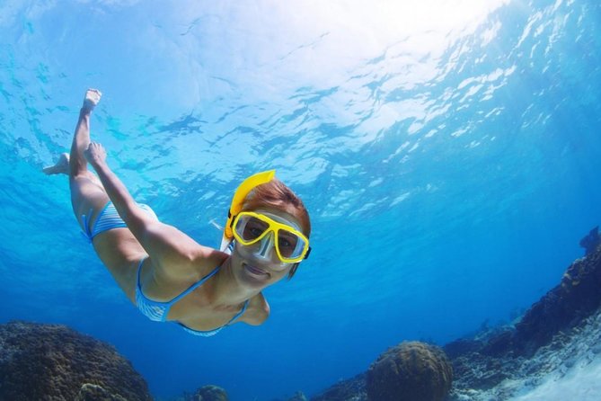 Exclusive Snorkeling Trip Guided by Marine Biology Specialist