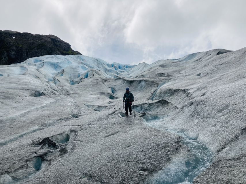 Exit Glacier Ice Hiking Adventure From Seward