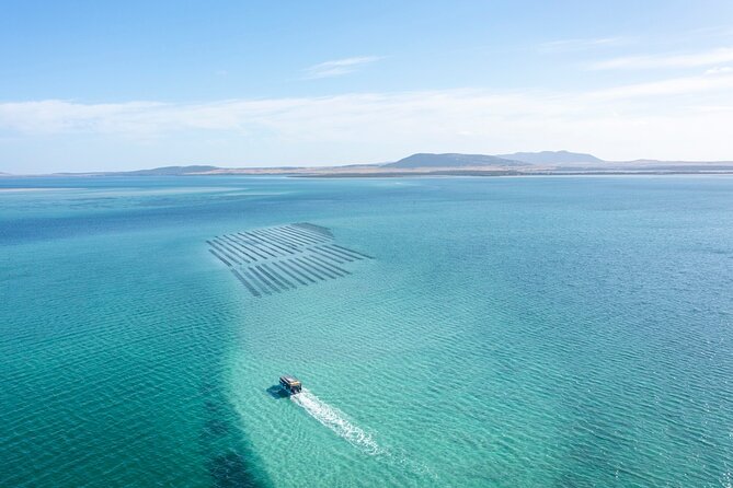 Experience Coffin Bay Oyster Farm and Bay Tour