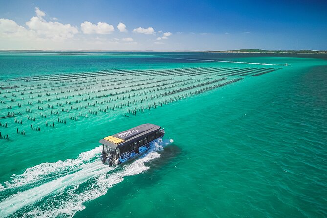 Experience Coffin Bay Short and Sweet Oyster Farm Tour