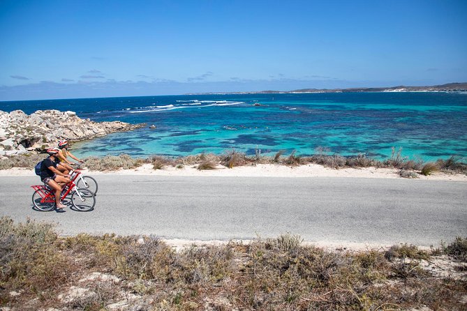1 experience rottnest with ferry bike hire Experience Rottnest With Ferry & Bike Hire