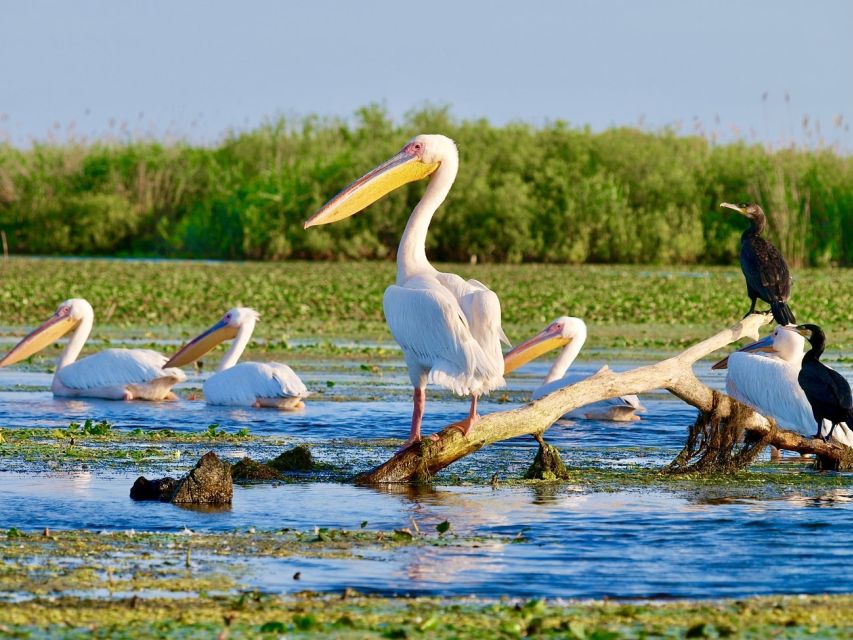 Explore Danube Delta and Black See in 2 Day Private Tour - Key Points