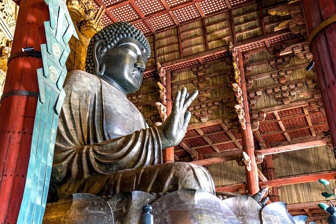 Explore the Best Spots of Arashiyama / Nara in a One Day Private Tour From Kyoto
