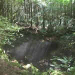 1 exploring mt fuji ice cave and sea of trees forest Exploring Mt Fuji Ice Cave and Sea of Trees Forest