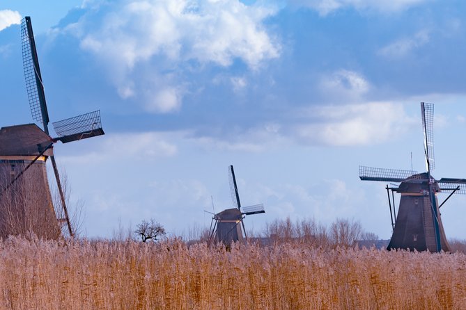 Famous Holland Tour: Visit the Hague, Delft, Rotterdam and Kinderdijk From Adam