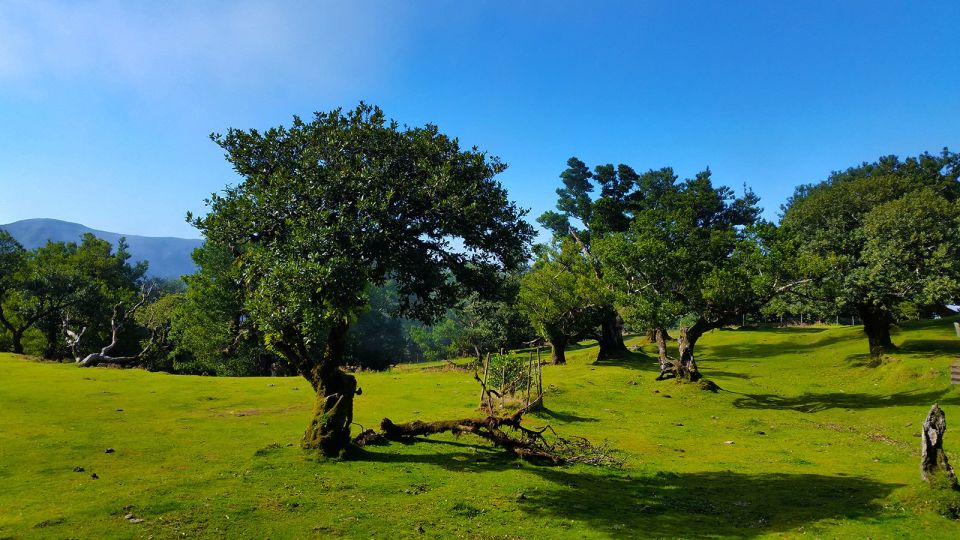 Fanal / Whistlers – Levada Walk