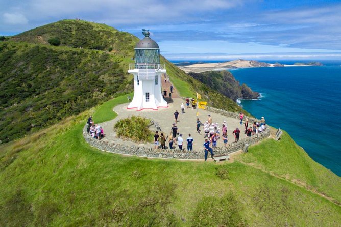 1 far north new zealand tour including 90 mile beach and cape reinga from paihia Far North New Zealand Tour Including 90 Mile Beach and Cape Reinga From Paihia