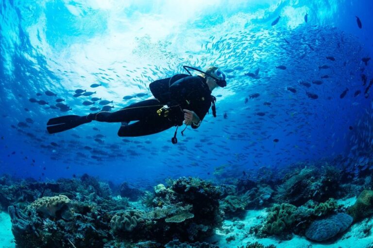 Fethiye: Professional Scuba Diving With Lunch