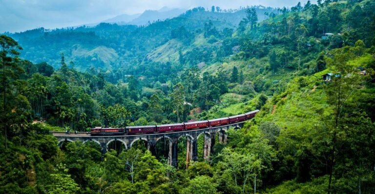 First Class Ella From/To Kandy Scenic Train Ticket