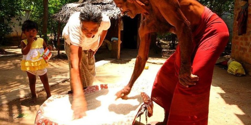 1 fish cook enjoy a sri lankan lunch at a village house Fish, Cook & Enjoy a Sri Lankan Lunch at a Village House